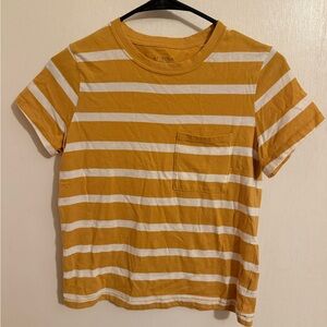 Arizona Jean Company Mustard and White Striped Crop Top